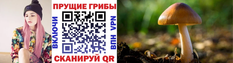 Купить закладки  Сердобск  Галлюциногенные грибы прущие грибы 