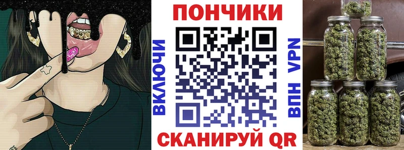 Купить  Сердобск  Канабис Amnesia 